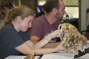 Students examining specimens during Ichthyology lab at the BRTC.